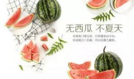 潍坊吃瓜最新爆料新闻,最新爆料揭秘幕后真相